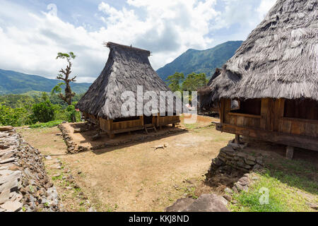 Traditional houses in the Wologai village near Kelimutu in East Nusa Tenggara, Indonesia. Stock Photo