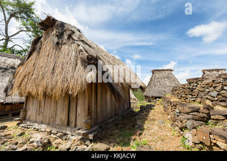 Traditional houses in the Wologai village near Kelimutu in East Nusa Tenggara, Indonesia. Stock Photo
