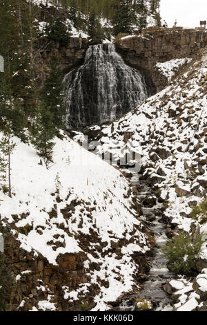 Rustic Falls (47 ft) Yellowstone National Park Stock Photo