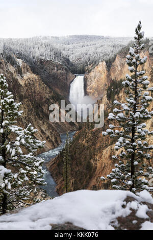 Lower Falls (308 ft) on the Yellowstone River in the snowy Grand Canyon of the Yellowstone, Yellowstone National Park Stock Photo