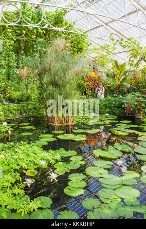 England, London, Richmond, Kew Gardens, The Waterlily House Stock Photo