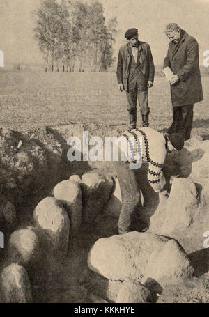 Prehistoric neolithic burial tomb in Newgrange and Knowth Stock Photo ...