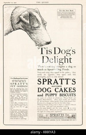 Spratts store dog cakes