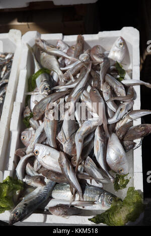 Mediterranean fish exposed in open market in Napoli Stock Photo