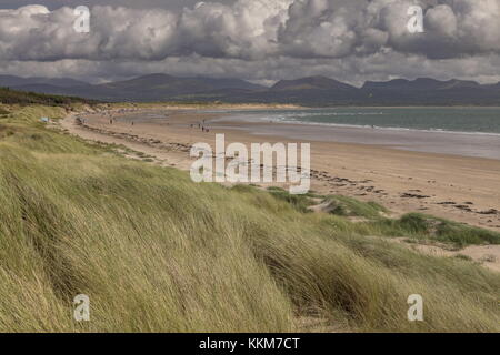 The sand dunes at Newborough Warren,  Newborough Warren and Ynys Llanddwyn NNR,  Anglesey, Stock Photo