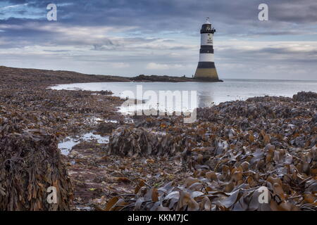 Trwyn Du Lighthouse, Penmon, at low tide, dawn in north-east Anglesey. Stock Photo