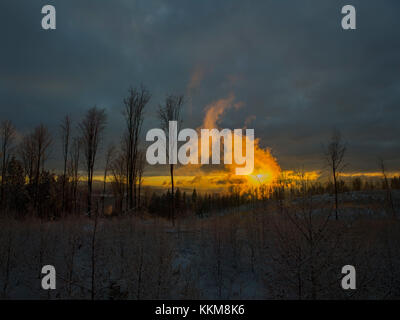 Winter forest at sunset, at the Harlachberg, Bodenmais, Lower Bavaria, Bavarian Forest, Bavaria, Germany, Stock Photo