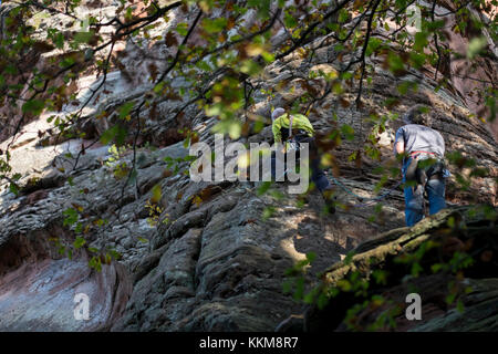 Climber at the PK edge on the Hochsteinnadel, Dahner Felsenland, Palatine Forest, Rhineland-Palatinate, Germany, Stock Photo