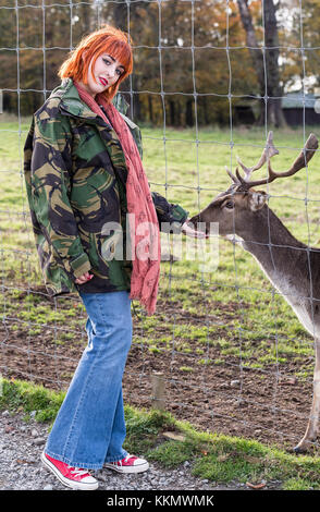 Girl in park in autumn feeds deer Stock Photo