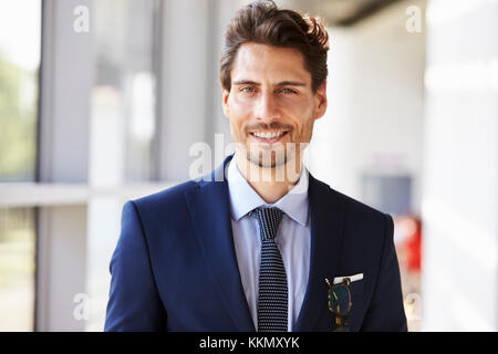 Portrait of smiling professional young man in suit Stock Photo