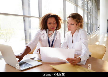 Two businesswomen working on a project using laptop Stock Photo
