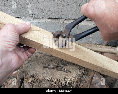 Pulling nail with old rusty pliers out from wooden board Stock Photo