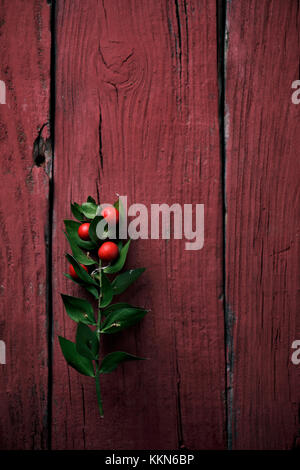 closeup of a twig of christmas holly on a red rustic wooden surface with a blank space on top Stock Photo