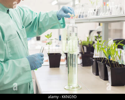 Lab technician pours liquid in high flask on background of laboratory. Concept: Scientific Research in Biology Stock Photo