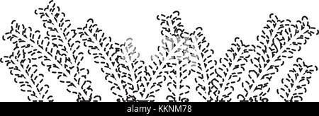 dotted shape natural rustic branches with leaves design Stock Vector