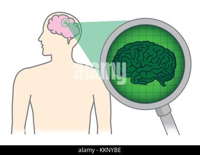 Looking inside of the human brain with Magnifying glass. Stock Vector