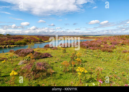 Blubberhouses Quarry,now flooded, on a summers day with heather in bloom and a beautiful blue sky Stock Photo