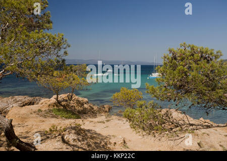 Île de Porquerolles, Hyéres, France Stock Photo