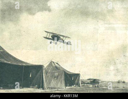 Amazon.com: Austro-Hungarian Army Aircraft of World War I