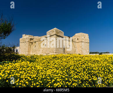 St Thomas Tower in Marsaskala on Malta in a sea of flowers Stock Photo