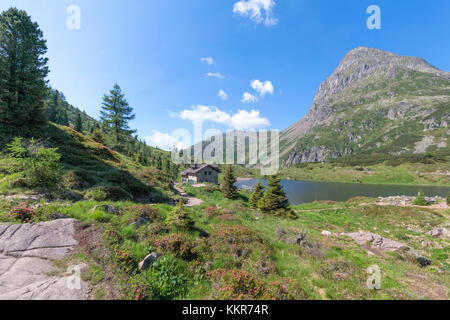 Europe, Italy, Trentino, Trento, Lagorai chain, the Colbricon lakes in summer with the little alpine hut near the lakes Stock Photo