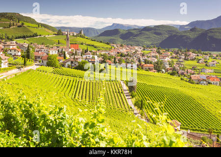a view of Tramin an der Weinstrasse (Termeno sulla strada del vino), Bolzano province, Trentino Alto Adige, South Tyrol, Italy Stock Photo