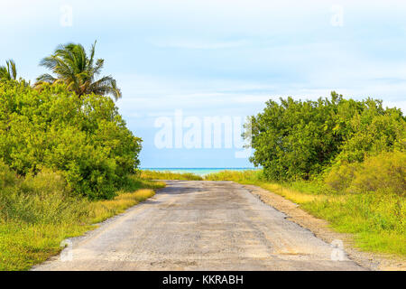 The beach at Cayo Jutias in the northern of Cuba Stock Photo