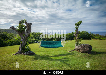 St. Kitts and Nevis, Nevis, Cole Hill, field Stock Photo