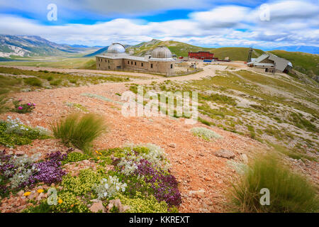 The strong wind shakes lean vegetation of Campo Imperatore, Abruzzo, Italy. Stock Photo