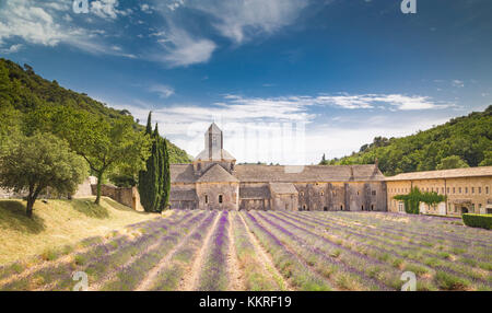 Senanque abbey, near Gordes, Provence, France Stock Photo