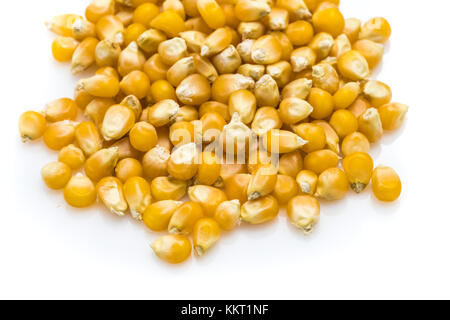 Popcorn Seeds, Studio Close Up Shot, on White Background Stock Photo