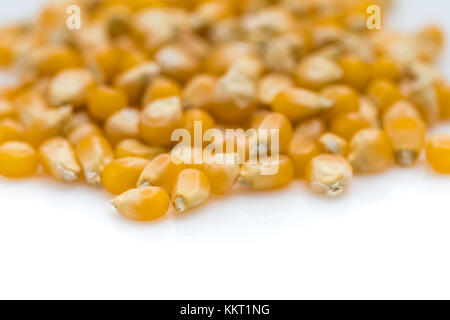 Popcorn Seeds, Studio Close Up Shot, on White Background Stock Photo