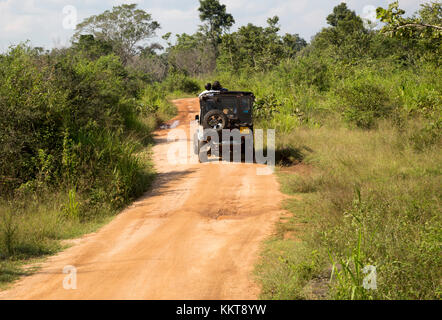 Elephant safari in Hurulu Eco Park biosphere reserve, Habarana ...