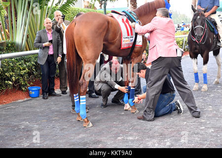 HALLANDALE, FL - APRIL 01: Antonio Sano went from being kidnapped twice in Venezuela to training a Kentucky Derby contender. Seen here at the 66th running of the Xpressbet Florida Derby (Grade 1) which has a 1 million dollar purse at Gulfstream Park on April 1, 2017 in Hallandale, Florida   People:  Gunnevera Stock Photo