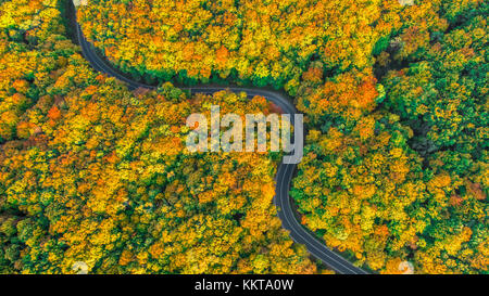 Road with curves in thick forest outside the city Stock Photo