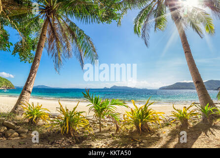 Exotic beach with palm trees and amazing water in strong midday sun Stock Photo