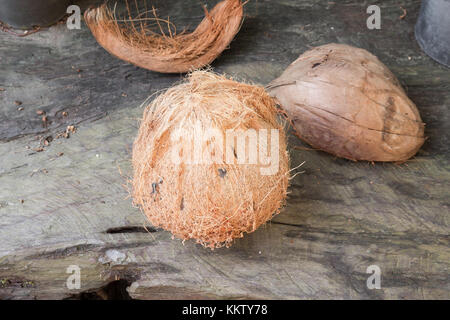 Coconut and the shell on Wood floor blur background. (select focus Coconut) Stock Photo