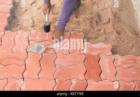 worker laying red concrete paving blocks, industrial worker installing pavement rocks, cobblestone blocks on road pavement. Stock Photo