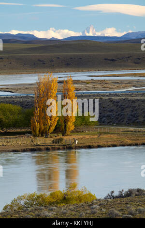 Poplar trees and La Leona River, Patagonia, Argentina, South America Stock Photo