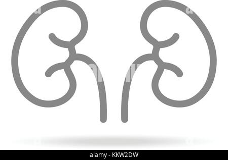 Human Kidneys, Nephrology Icon In Trendy Thin Line Style Isolated On White Background. Medical Symbol For Your Design, Apps, Logo, UI. Vector Illustration. Stock Vector