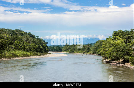Amazonian rainforest. Napo River. Napo province, Ecuador Stock Photo