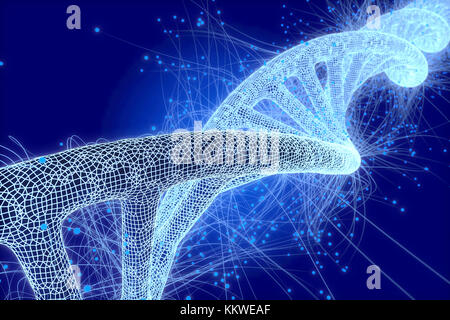 Biotechnology, conceptual illustration. DNA (deoxyribonucleic acid) molecule. Stock Photo