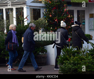 London, UK. 02nd Dec, 2017. Xmas trees go on sale on the first weekend in December in Northcote road in Battersea, Wandsworth. Credit: JOHNNY ARMSTEAD/Alamy Live News Stock Photo