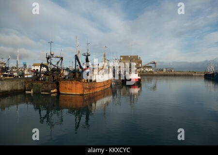 Portavogie, Co Down, N Ireland, UK. 2nd Dec, 2017. Weather news. A bright start to the day in Northern Ireland. Calm sea conditions for the fishermen and local wildlife.copyright Credit: gary telford/Alamy Live News Stock Photo