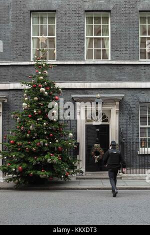 London, UK. 02nd Dec, 2017. London 2nd December 2017. 18ft 6'' Nord Fur Christmas Tree outside Number 10 Downing Street provided by Robert Morgan of Gower Fresh Christmas Trees in Swansea. : Credit: claire doherty/Alamy Live News Stock Photo