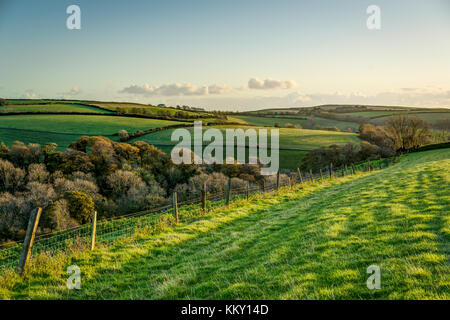An autumnal scene across rolling Cornish farmland, a fence taking your eye through grass fields and trees towards the coast in late afternoon sun. Stock Photo