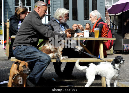 Beehive Inn Grassmarket Edinburgh Festival Stock Photo