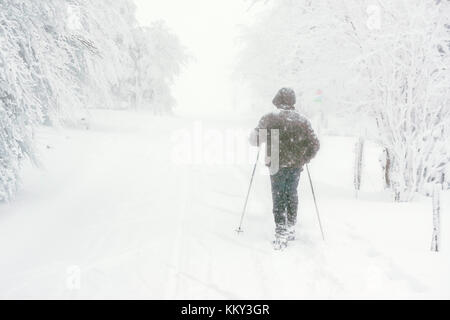 A snowshoeing hiker trekking on a trail in the mountain while it's snowing heavily. Vosges mountains in winter, France. Stock Photo
