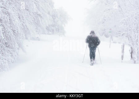 A snowshoeing hiker trekking on a trail in the mountain while it's snowing heavily. Vosges mountains in winter, France. Stock Photo