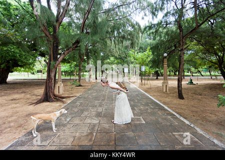 Meeting dogs at St. Anne´s church, Sri Lanka, Asia Stock Photo